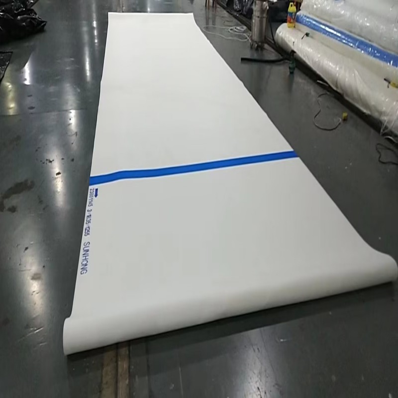 papan pulpa sun hong merasakan paparan produk siap